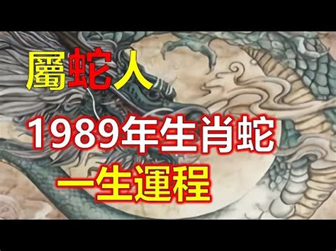 1989是什麼生肖